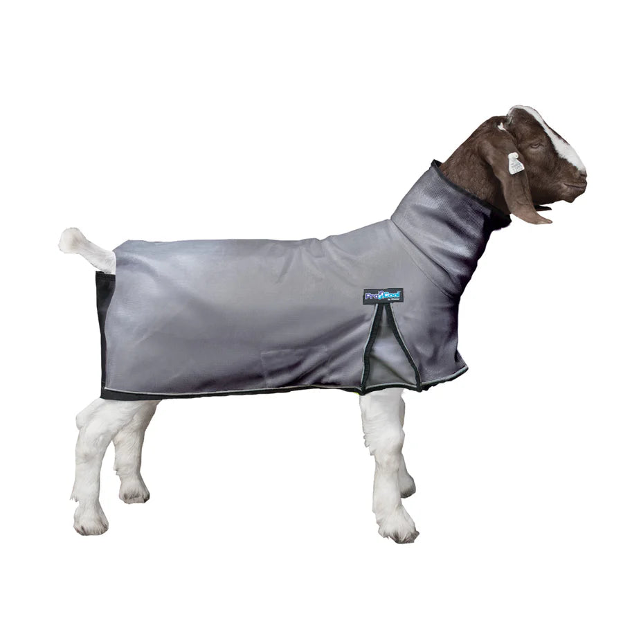 Weaver Livestock ProCool Mesh Goat Blanket Swinfords