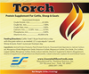 Essential Torch (H2922)