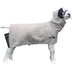 Canvas Goat Blanket
