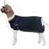 Sullivan's Cool Tech Goat Blanket