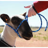 Sheep/Goat Rope Halter