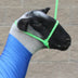 Sheep/Goat Rope Halter