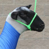 Sheep/Goat Rope Halter