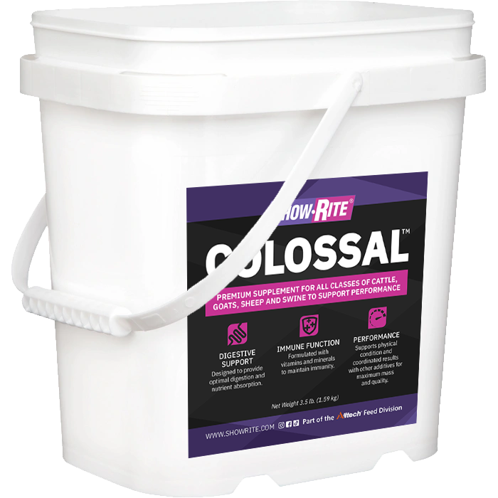 Show-Rite Colossal 3.5lbs | Swinfords