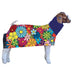 Sullivan's Tough Tech Goat Blanket